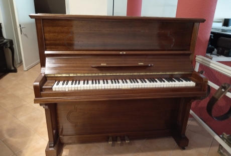 modello 13